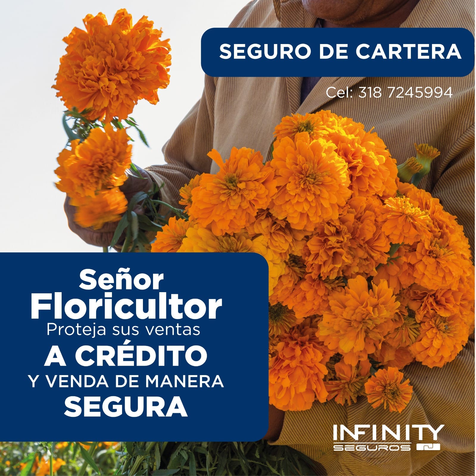 Sector flores